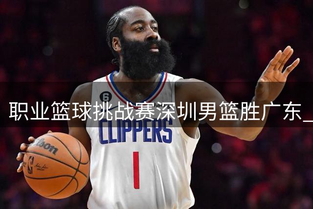 职业篮球挑战赛深圳男篮胜广东 孙浩钦独揽21分