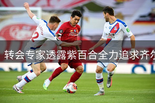转会专家透露紫百合全力追求齐尔克泽 谈判接近关键阶段